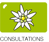 *(title.index.consultation)*